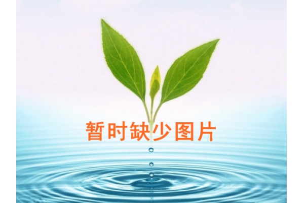 效果图勿纠结内容